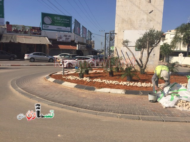 كفرقاسم : دوار الساعة بحلته الجديدة الخضراء ورئيس البلدية : سنستمر ببستنة الاماكن العامة  في كل الاحياء والشوارع . 